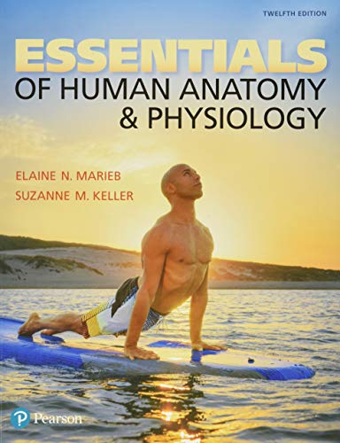 Essentials of Human Anatomy & Physiology 12th Edition by Elaine Marieb , Suzanne Keller